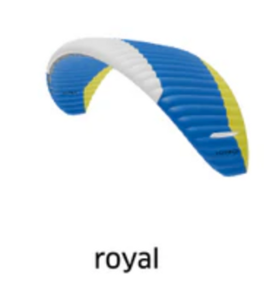 Nr. 35: Gebrauchter Advance ALPHA 7 Gleitschirm / Gr. 28 / 85-110kg