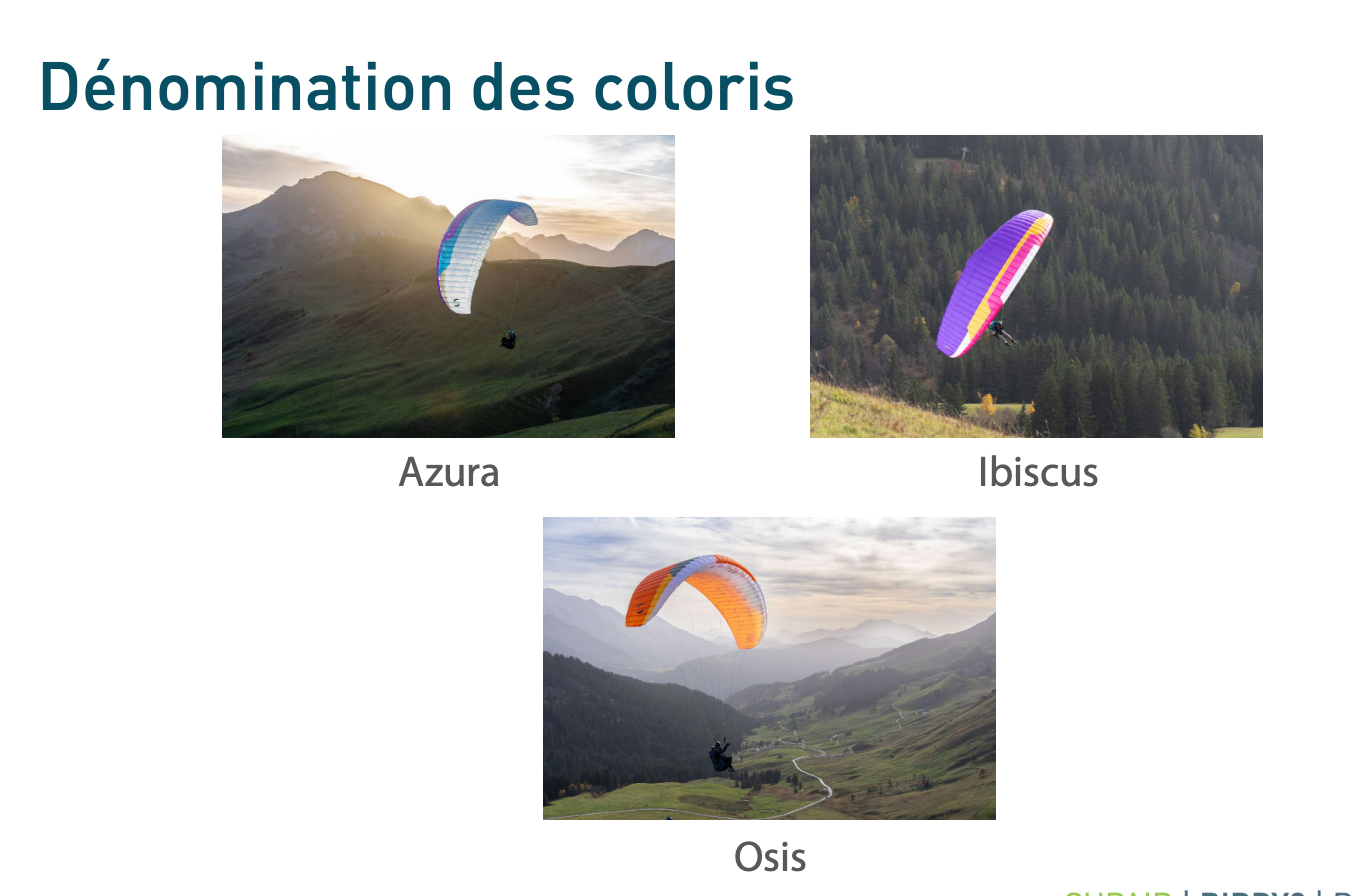Parapente Supair BIRDY 2