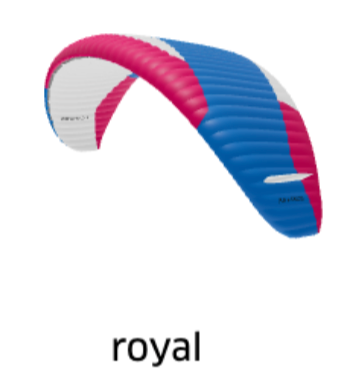 Advance Epsilon DLS Paraglider for Intermediate Pilots (EN-B)