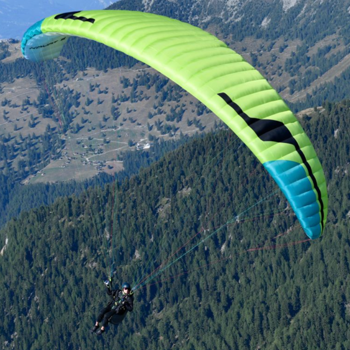 Niviuk Koyot 5 -Parapente Debutant EN A