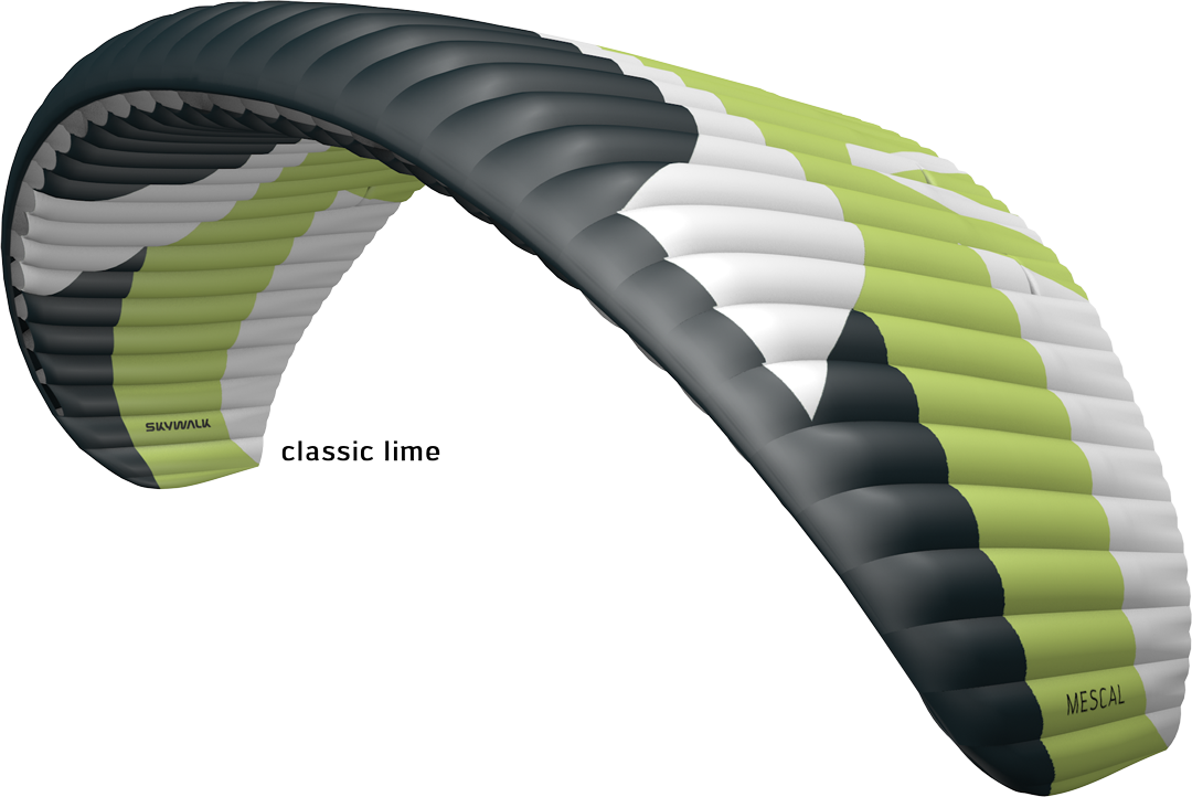 VLE051 Parapente débutant occasion Skywalk Mescal 6 S (75-95) verte
