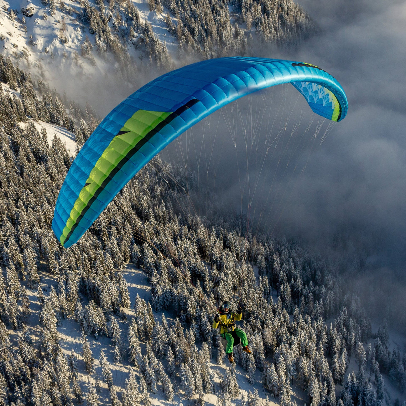 Parapentes mono-surface