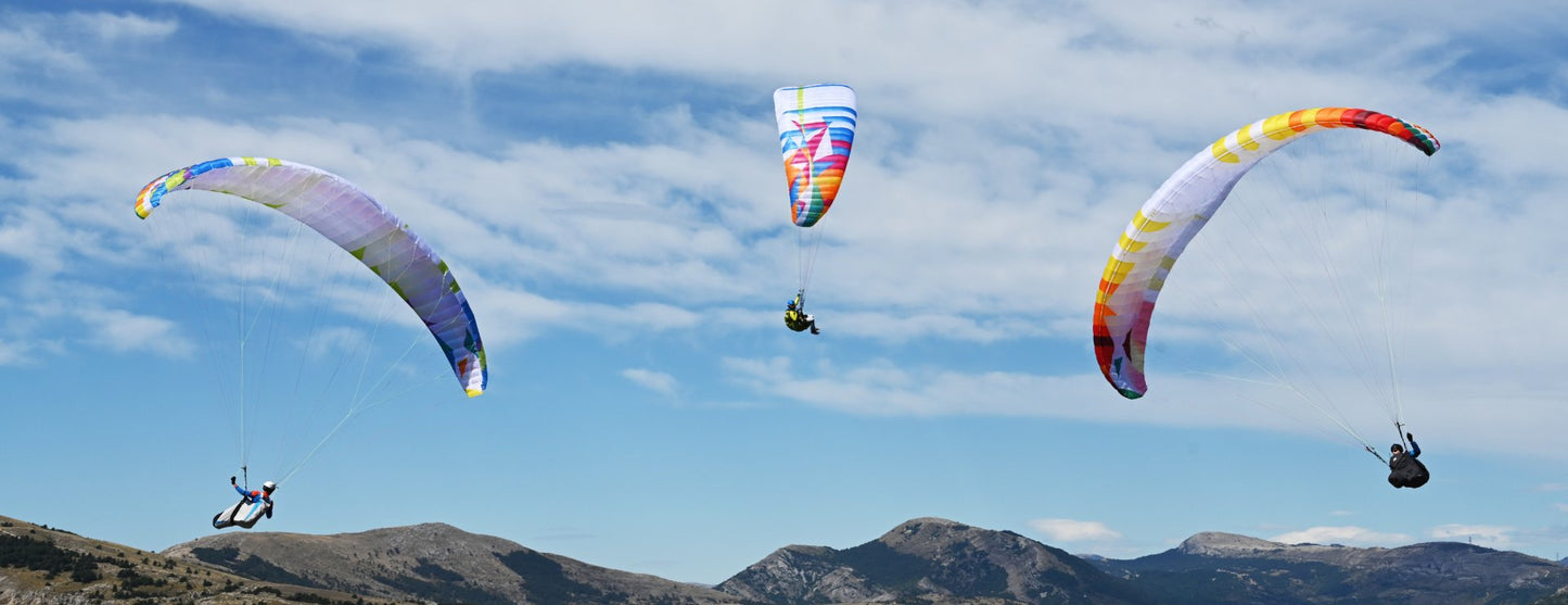 Parapente BGD  Echo 2