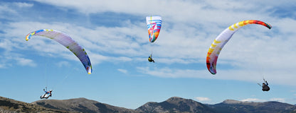 Parapente BGD  Echo 2