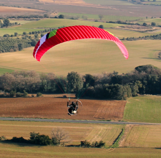 Paragliding Niviuk Wilko