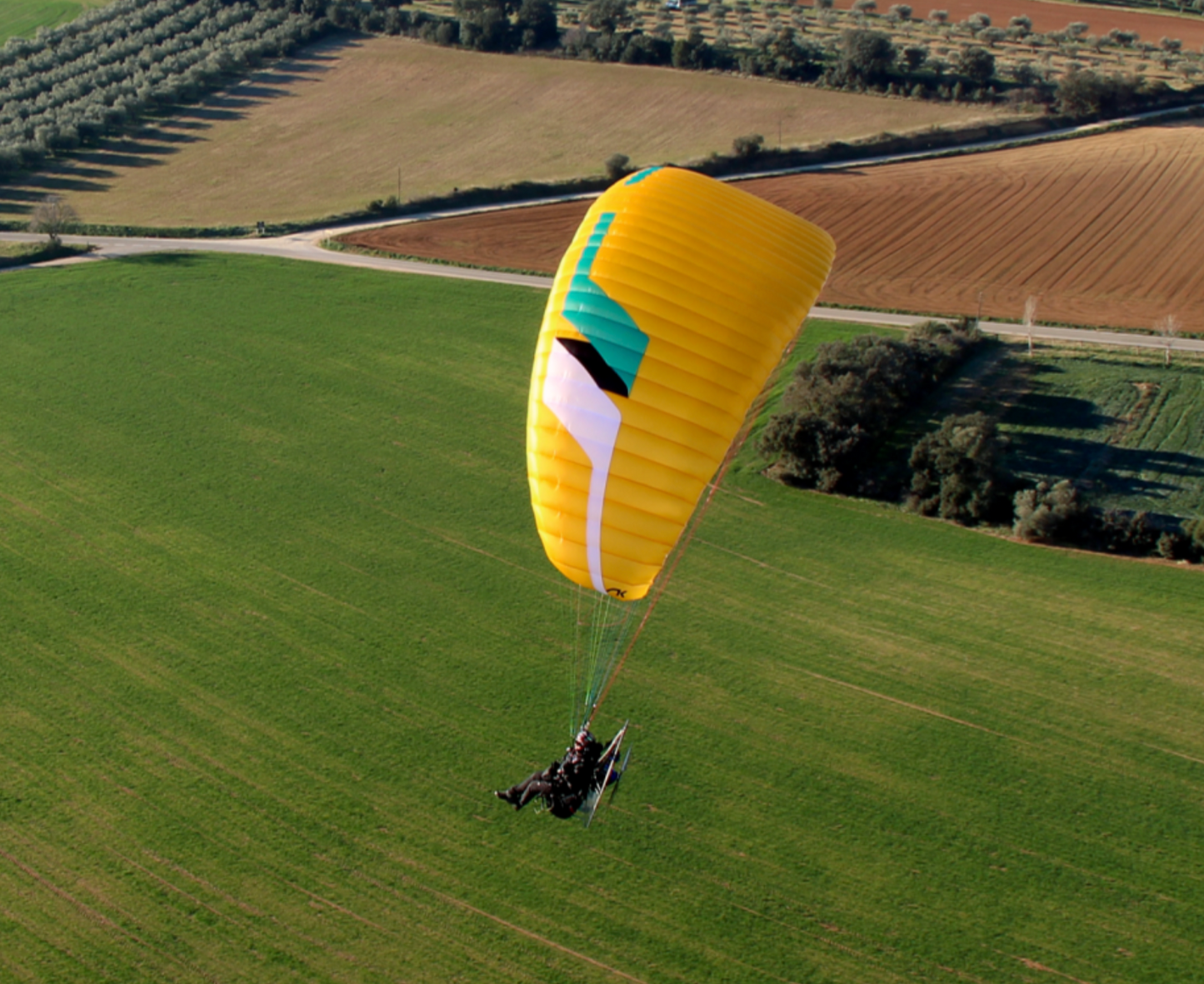 Paragliding Niviuk Wilko