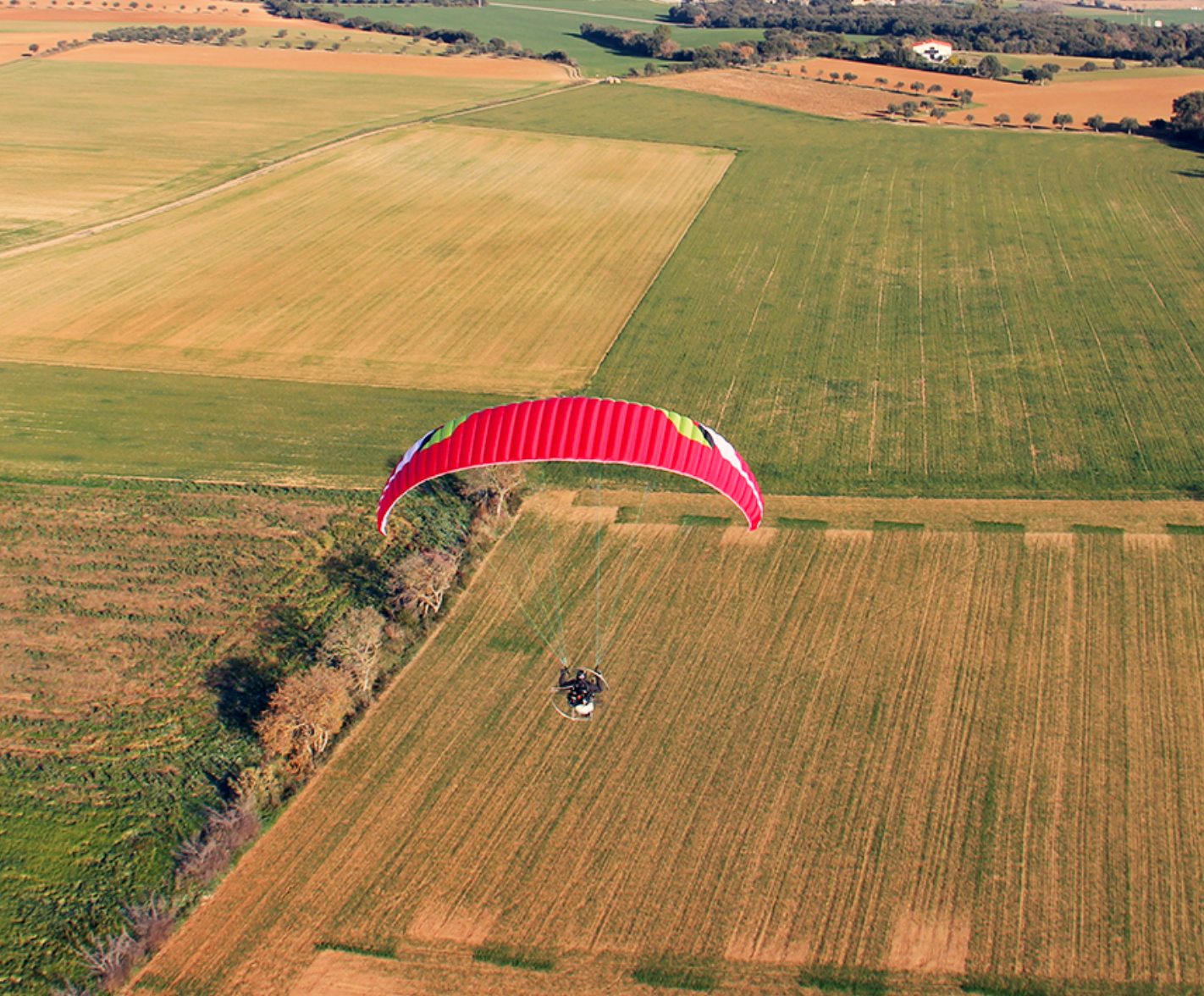Paragliding Niviuk Wilko