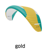 Advance Epsilon DLS Paraglider for Intermediate Pilots (EN-B)