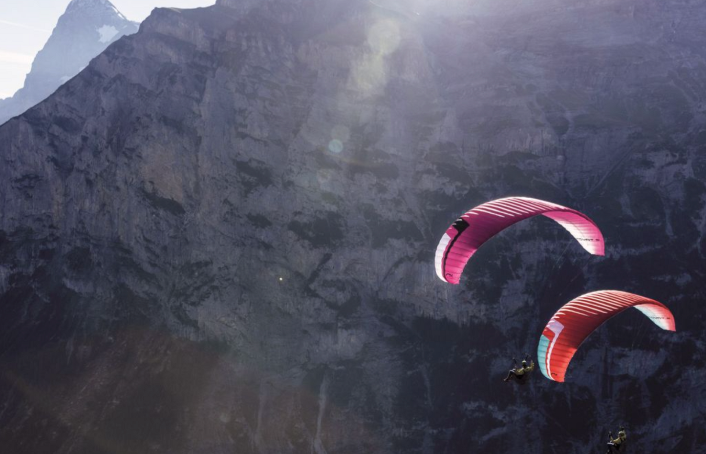 Niviuk Koyot 5 paraglider 