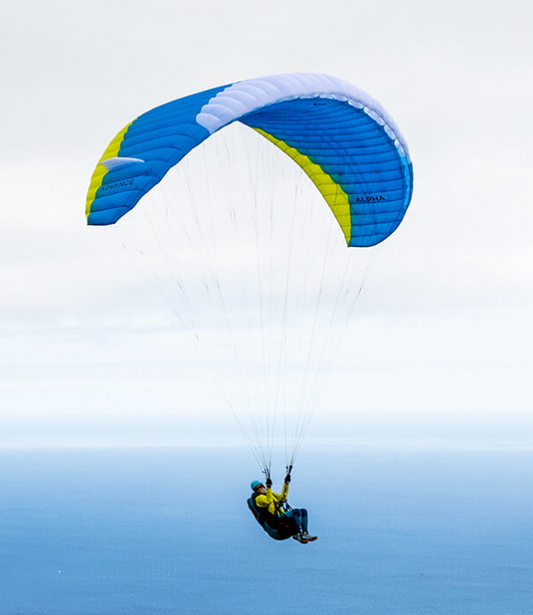 Used paraglider Advance ALPHA 7 / 22 ROYAL (n°16)