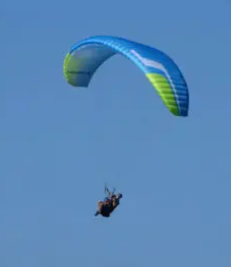 Used paraglider Niviuk Koyot 5 / 24 BOREAL (ref 13)