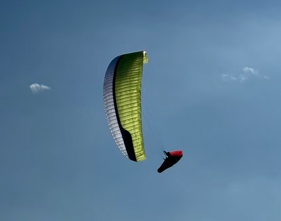 Sellette Yeti Race Gin