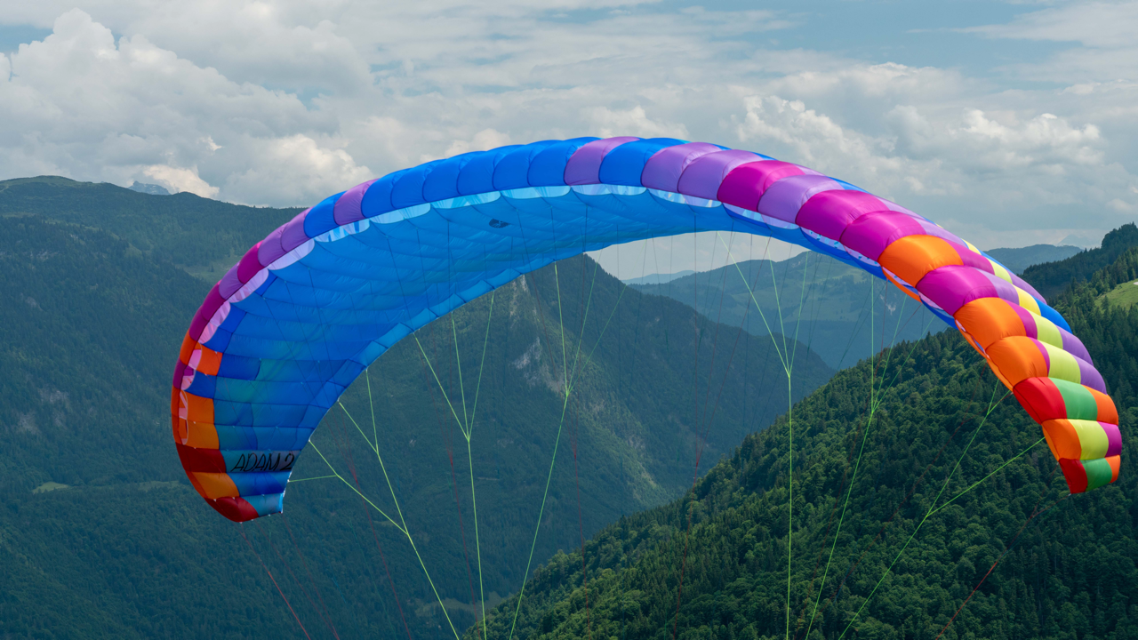 Parapente BGD Adam 2