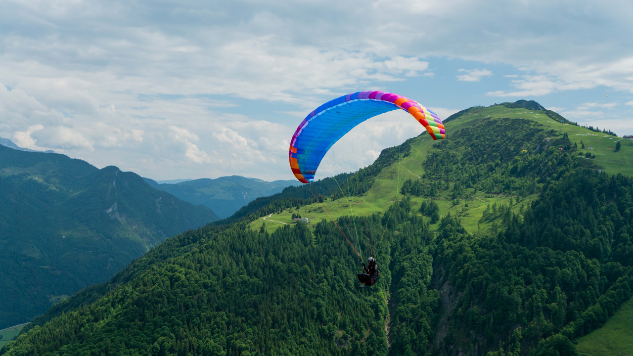 Parapente BGD Adam 2