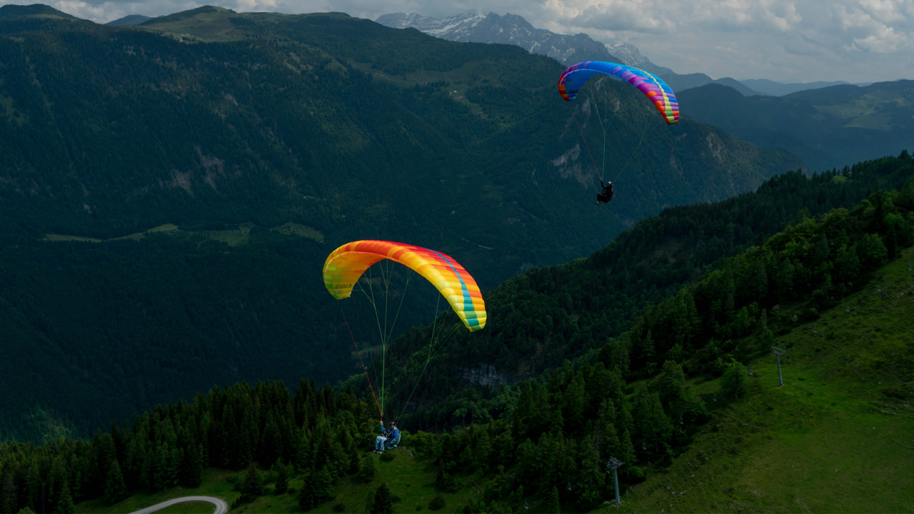 Parapente BGD Adam 2