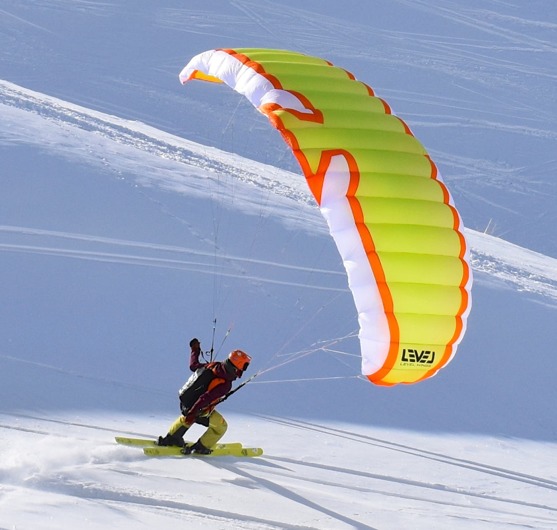 Level Wing Fizz 2 speed wing