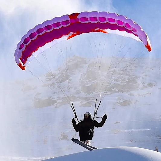 Aile de speed Level Wing Fizz 2