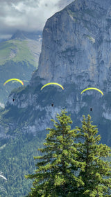 Parapente Niviuk N-Gravity 6