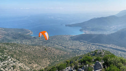 Parapente monosurface Niviuk Skin 3 P