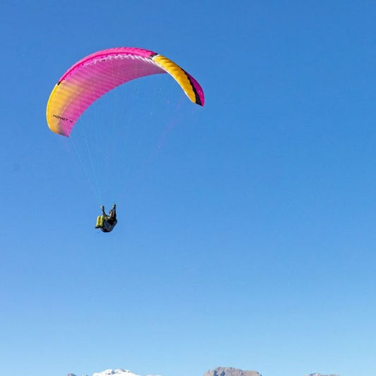 Used paraglider Niviuk Koyot 4 / 22 HOLI (n°6)