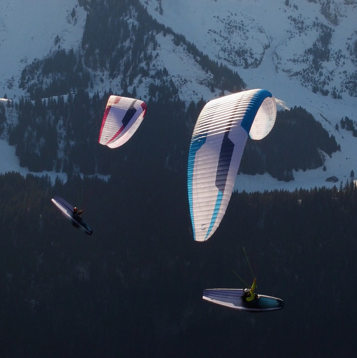 Supair - Wild 2 - Parapente EN-D